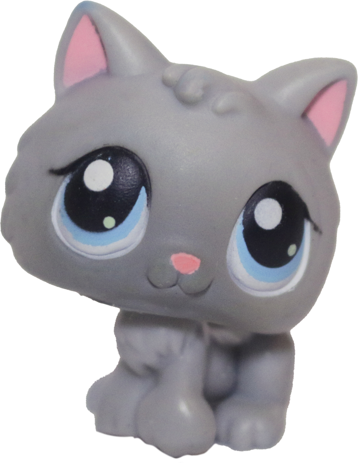 #0066 Kitten