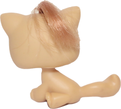 #0078 Sitting Cat