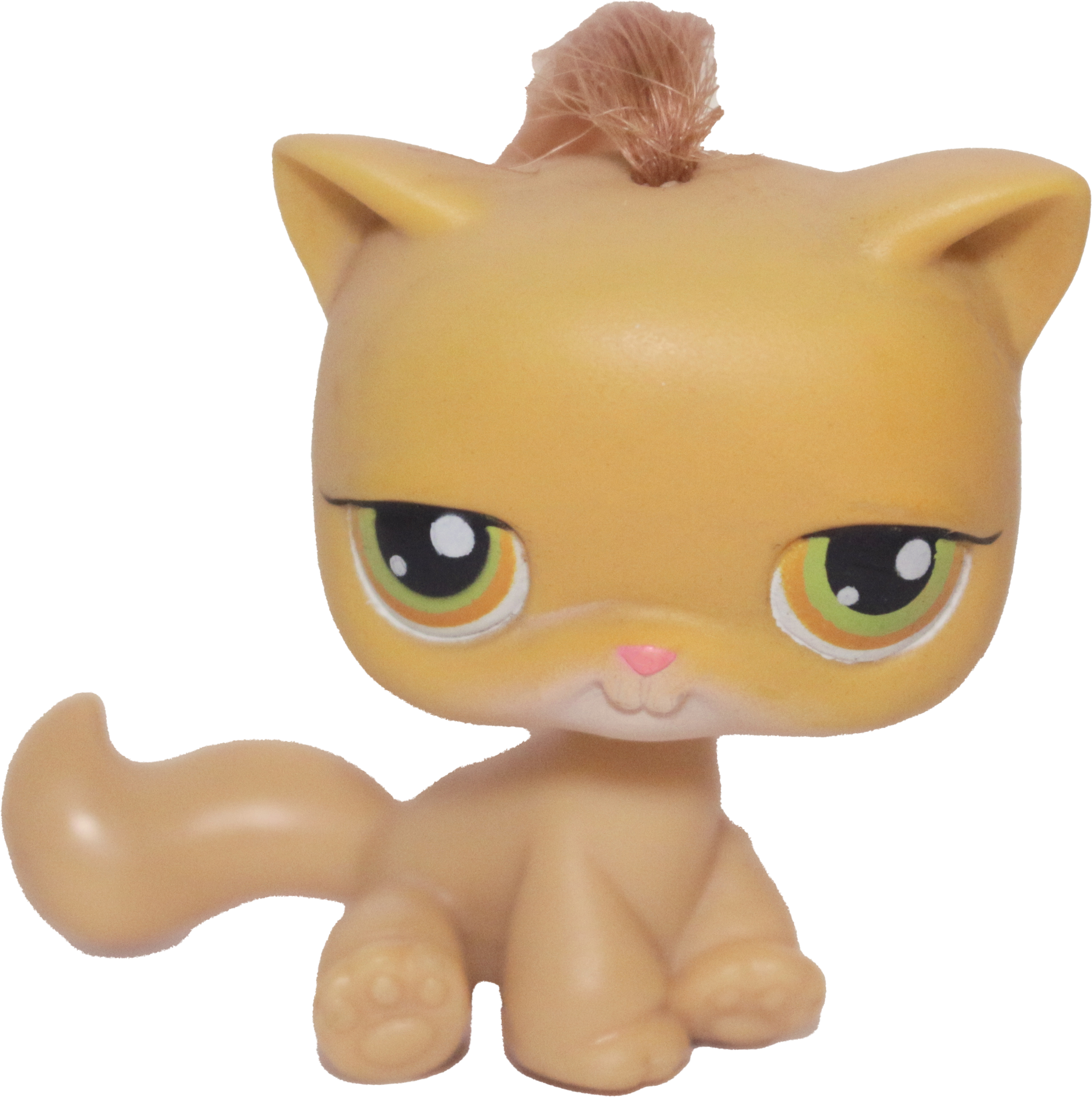 #0078 Sitting Cat