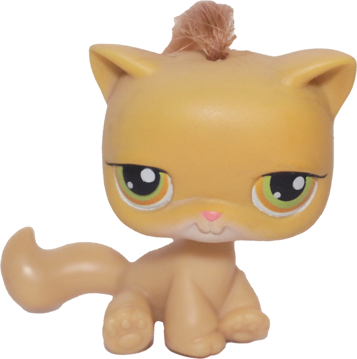 #0078 Sitting Cat