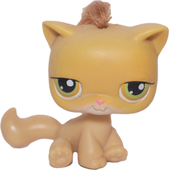 #0078 Sitting Cat