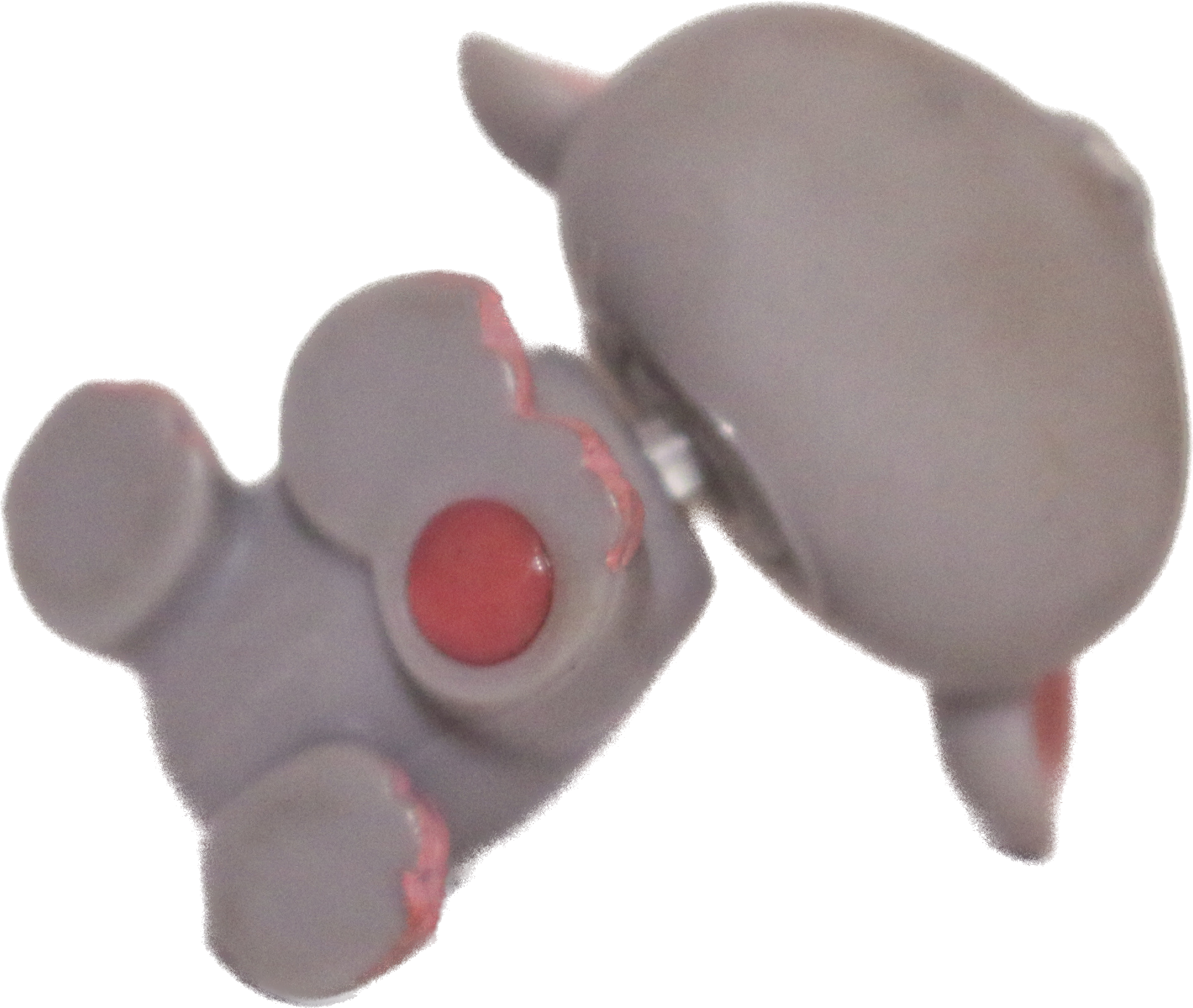 #0080/104 Mouse