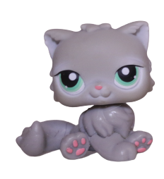 #0082 Persian Cat