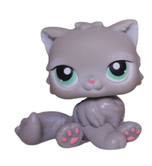 #0082 Persian Cat