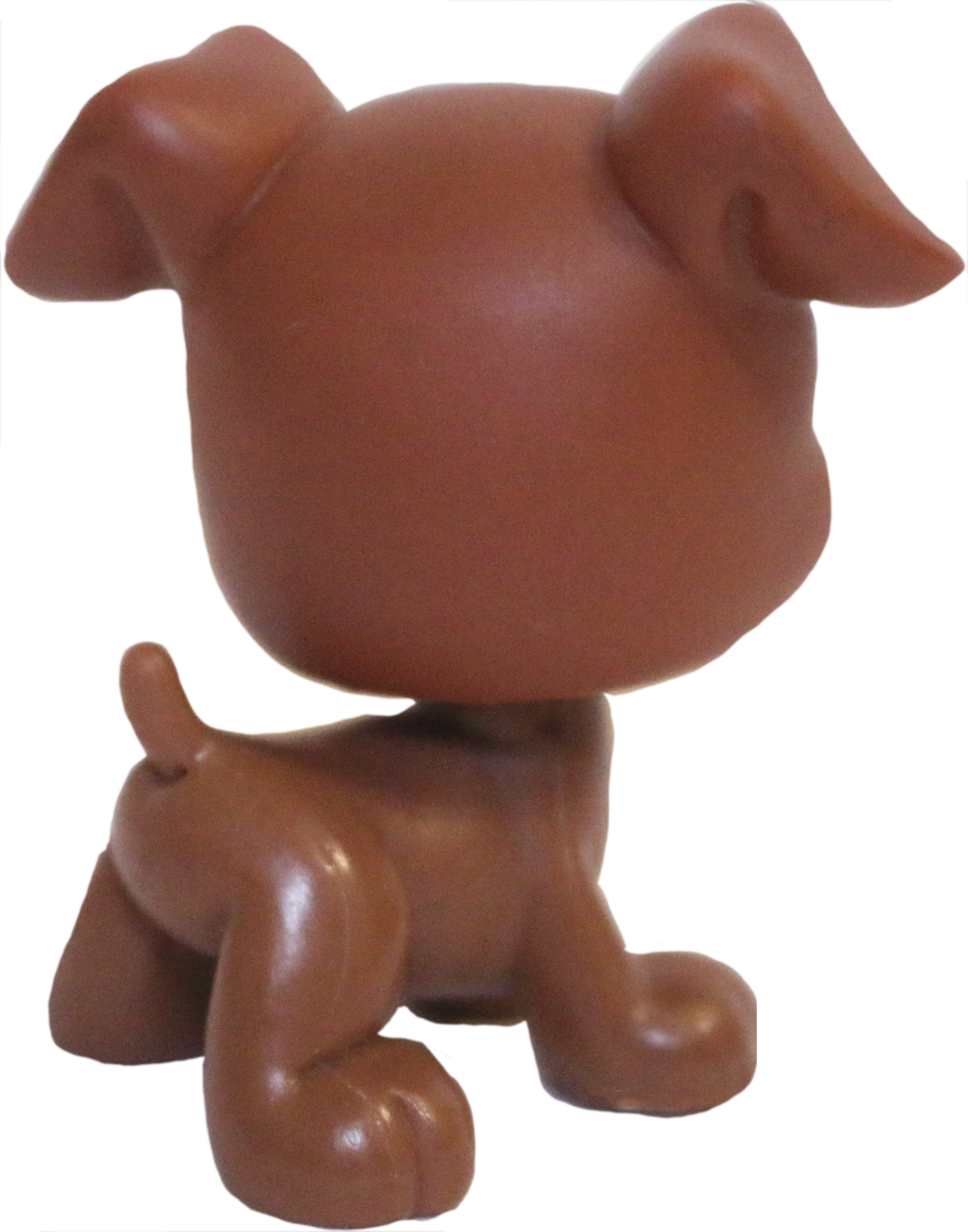 #0083 Boxer