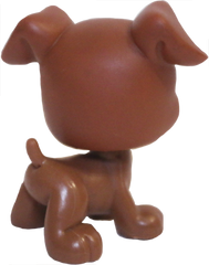 #0083 Boxer