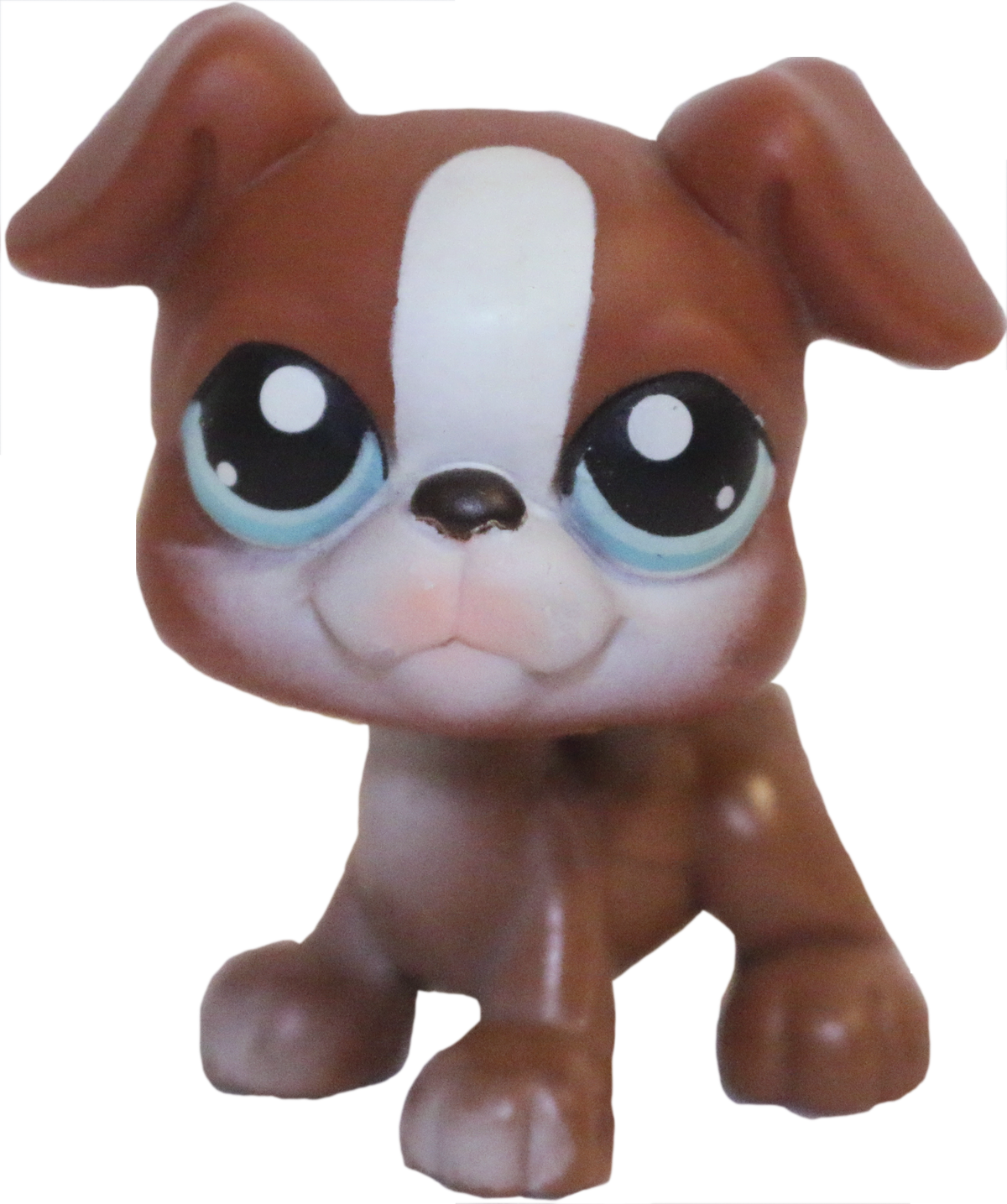 #0083 Boxer
