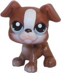 #0083 Boxer
