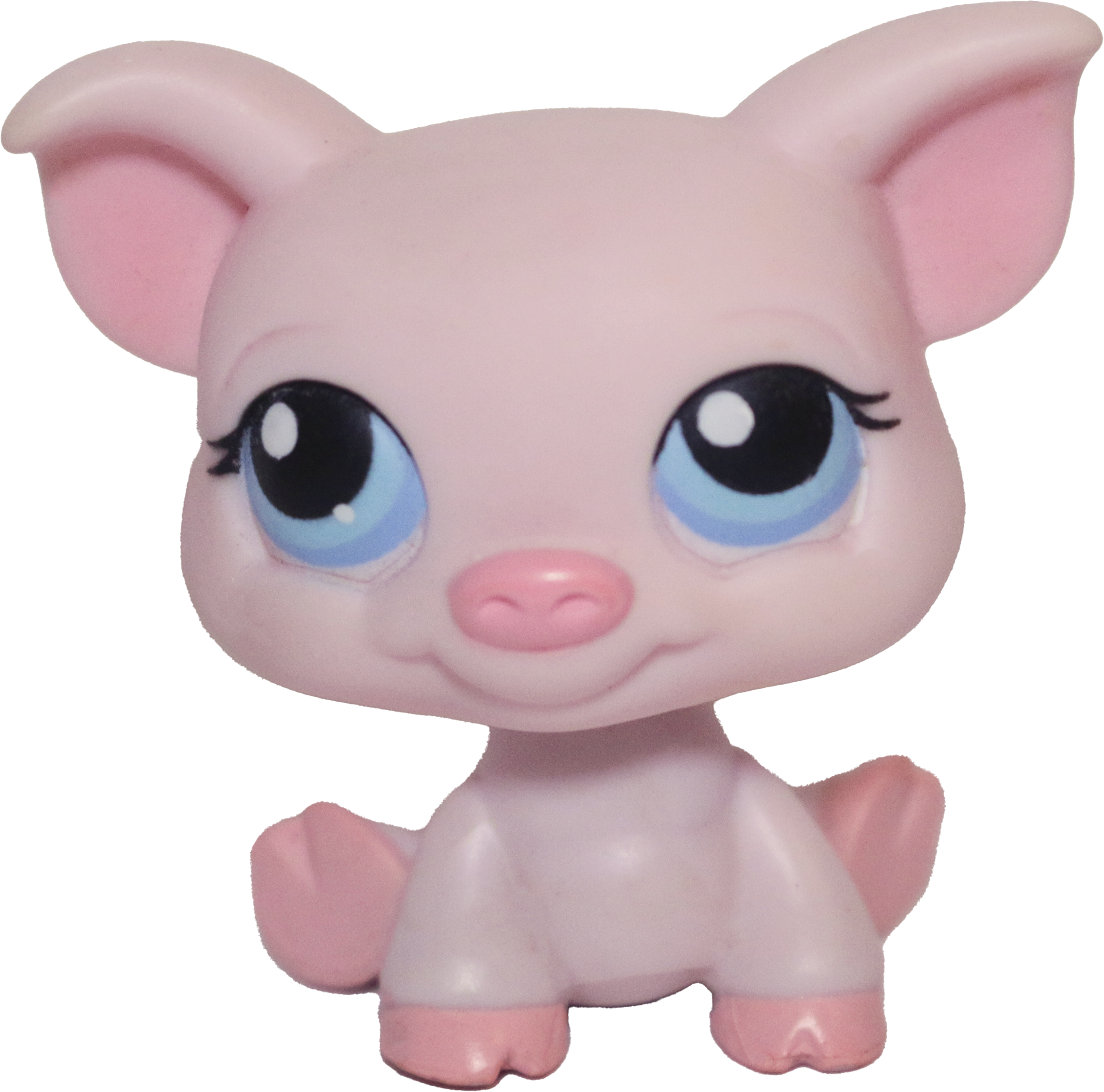 #0087/305 Pig