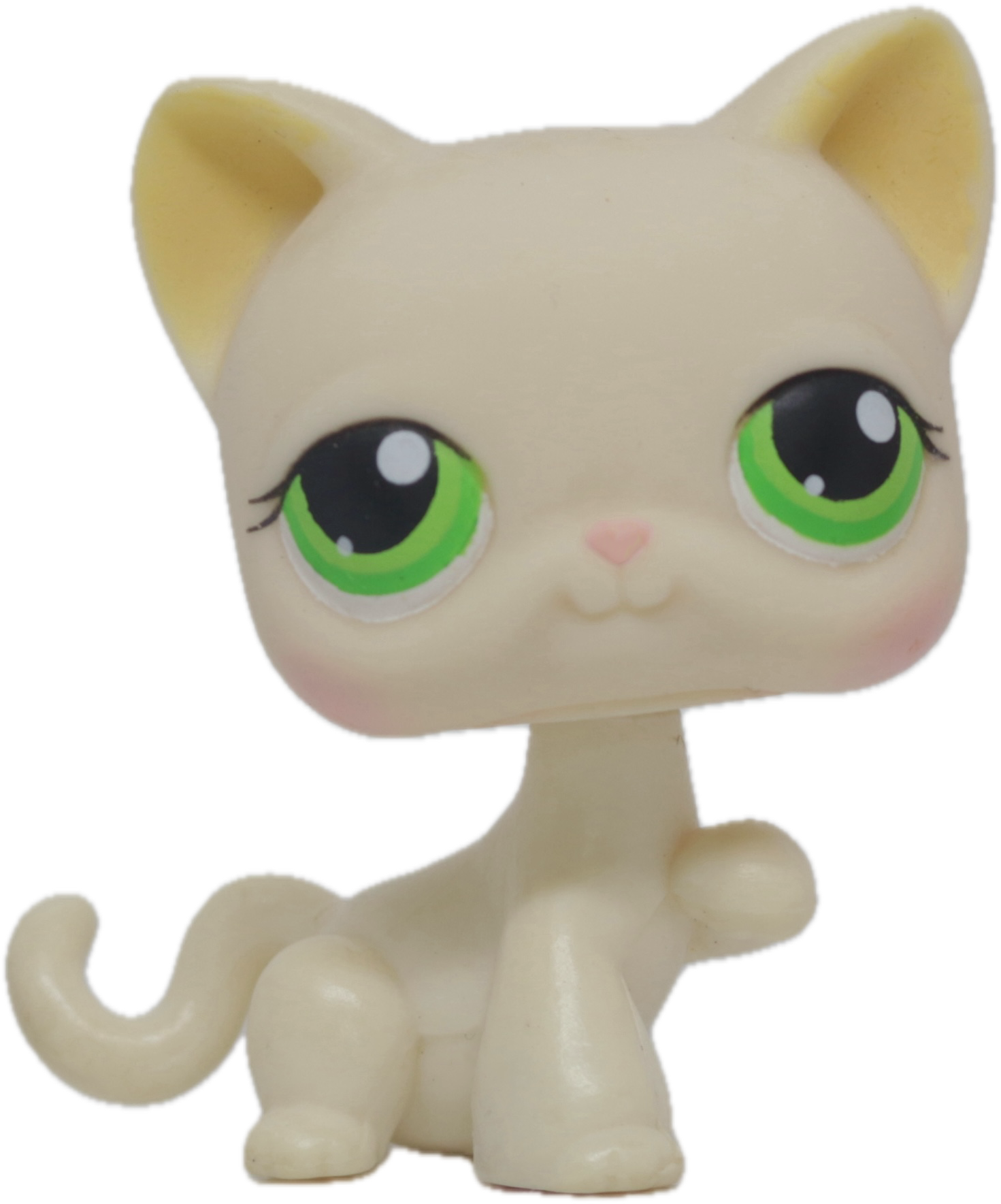 #0098 Paw Up Cat