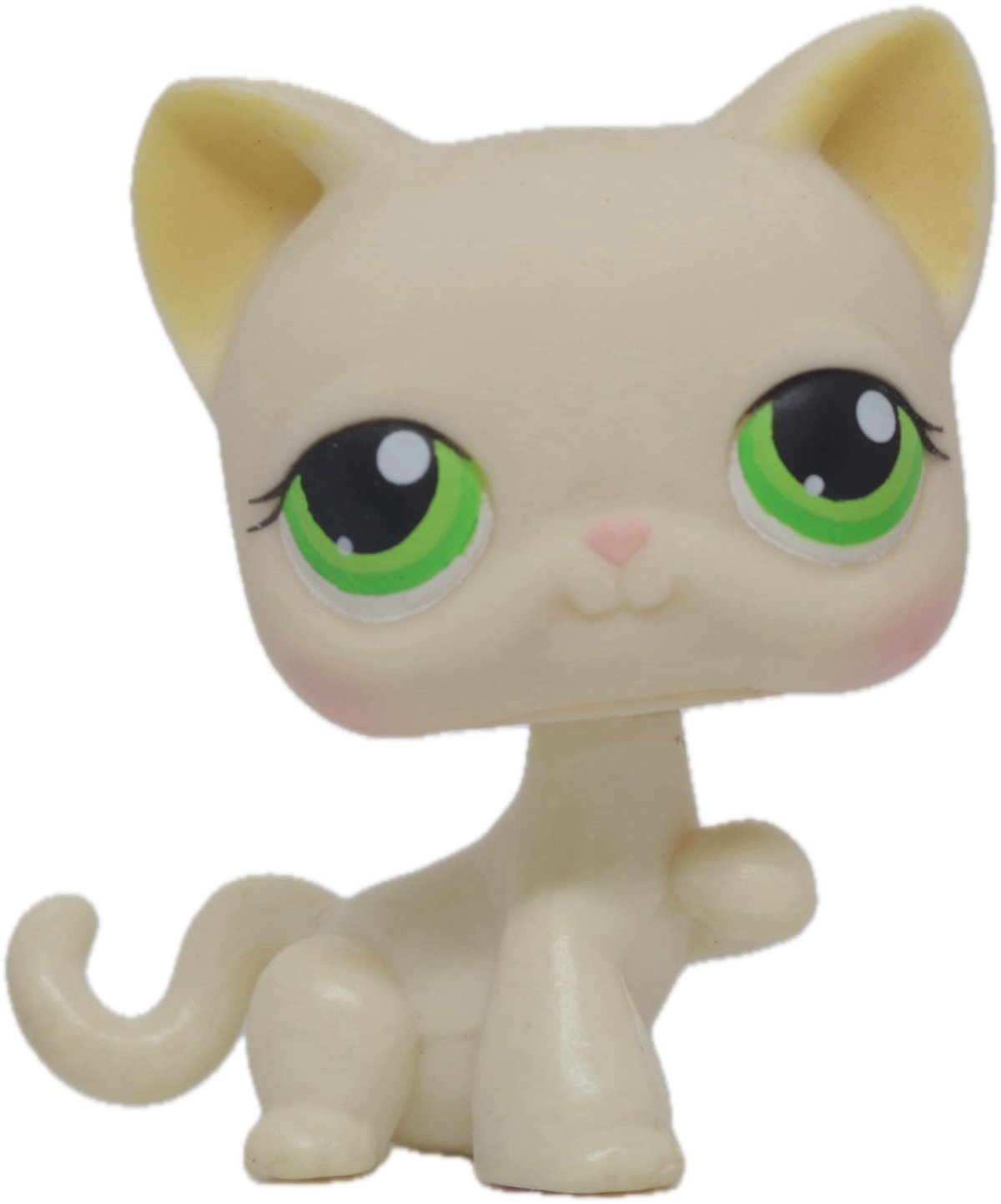 #0098 Paw Up Cat