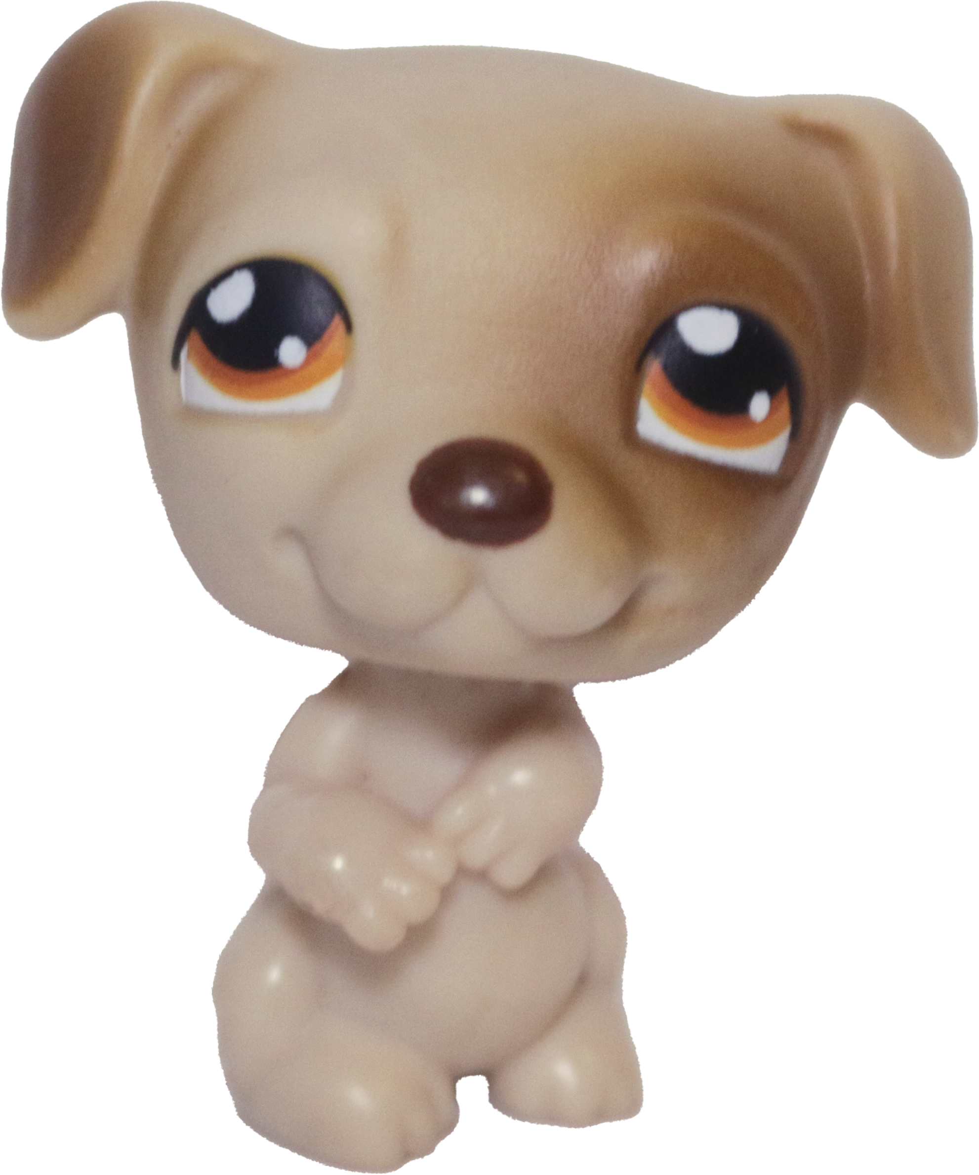#0109 Jack Russell