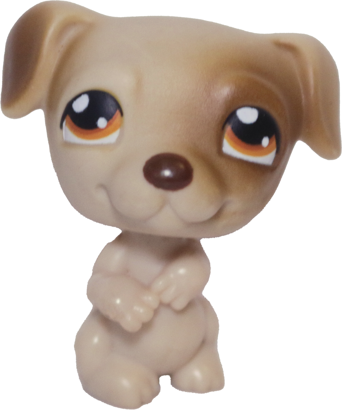 #0109 Jack Russell