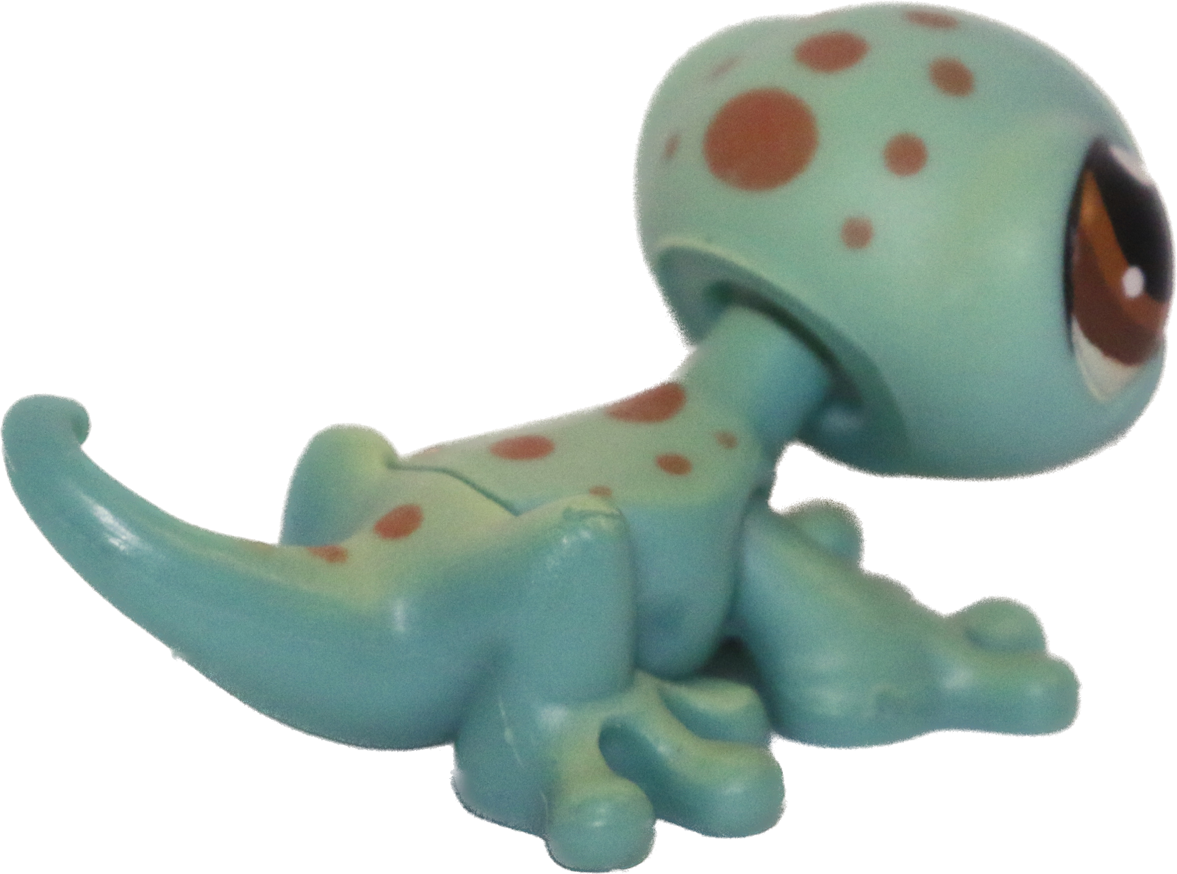 #0111 Gecko