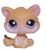 #0114 Kitten