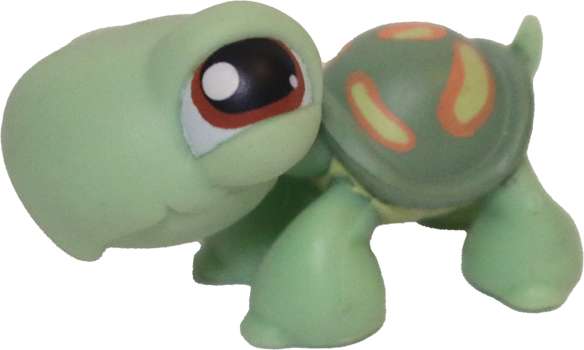 #0119 Turtle