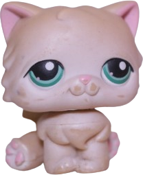 #0129 Persian Cat