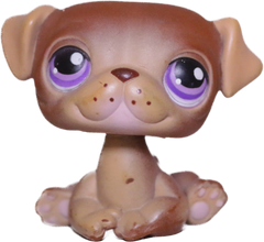 #0133 Pug