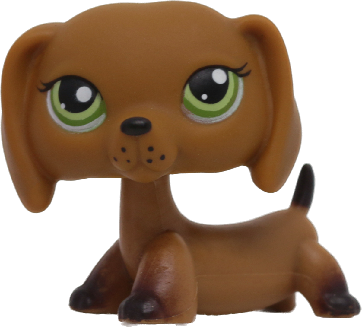 #0139/307 Dachshund