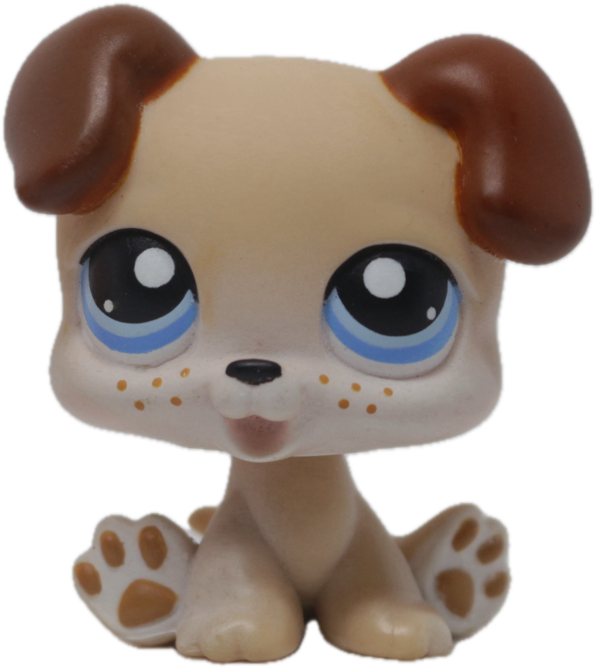 #0143 Puppy