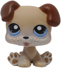 #0143 Puppy