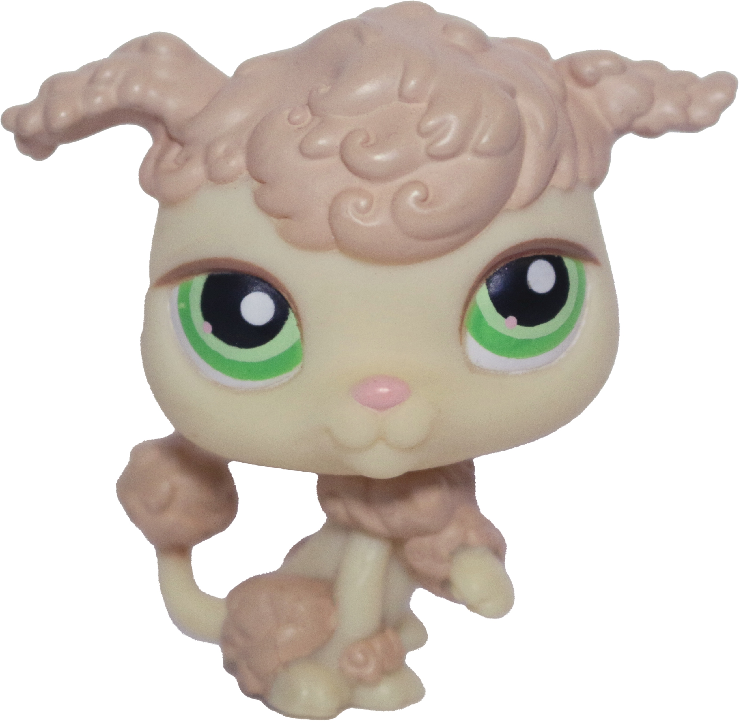 #0146 Poodle