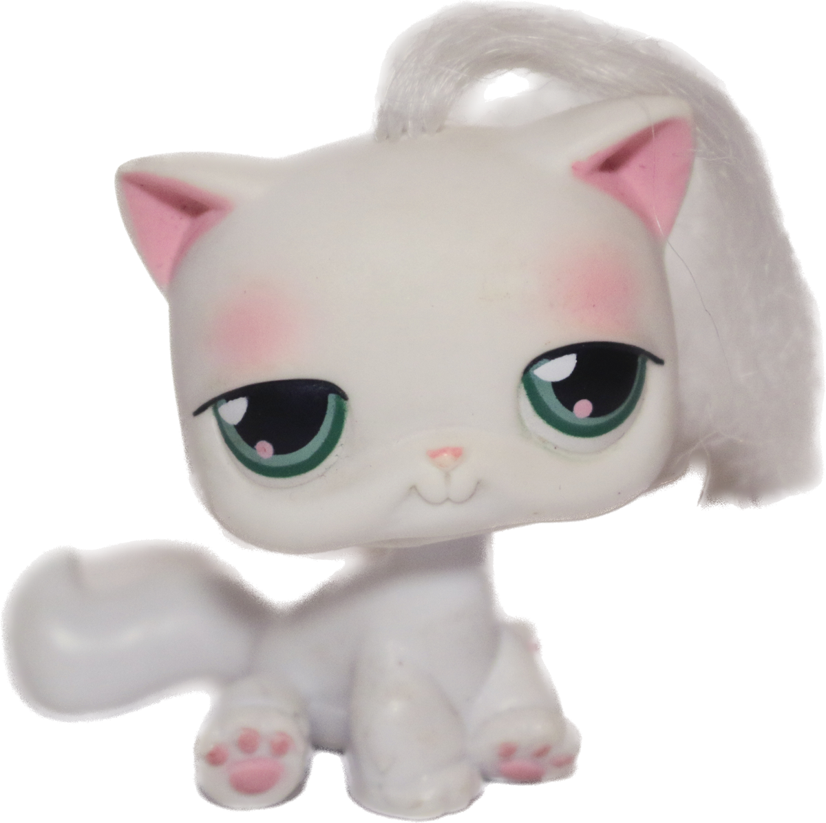 #0148 Sitting Cat
