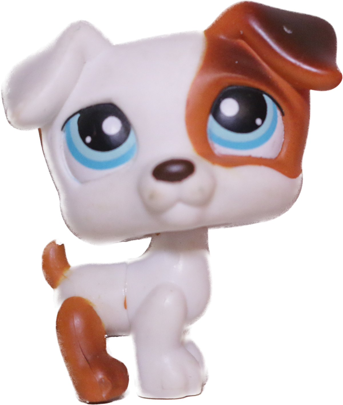 #0151 Jack Russell