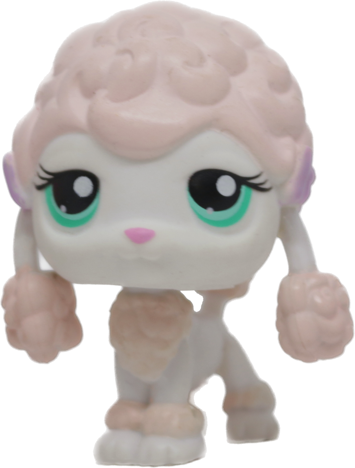 #0152 Poodle