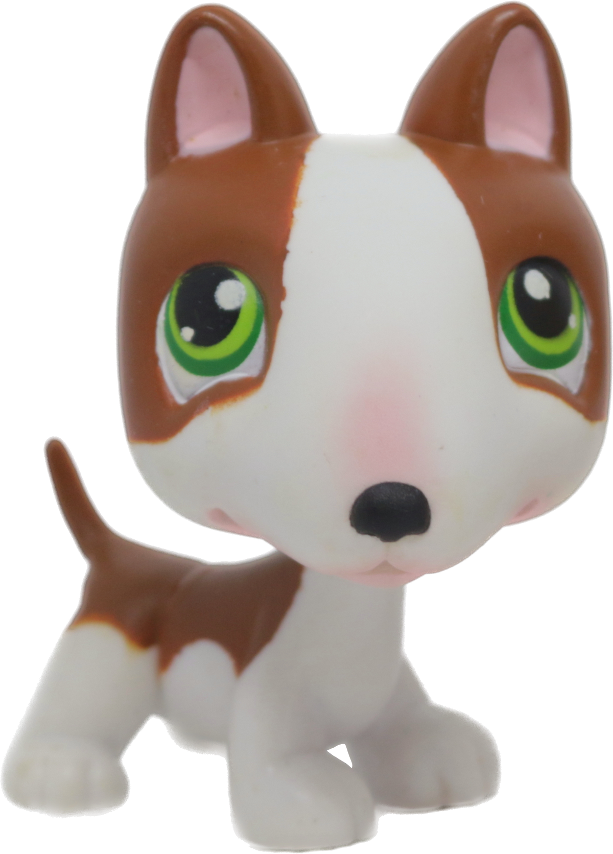 #0154 Bull Terrier