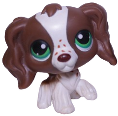 #0156 Cocker Spaniel