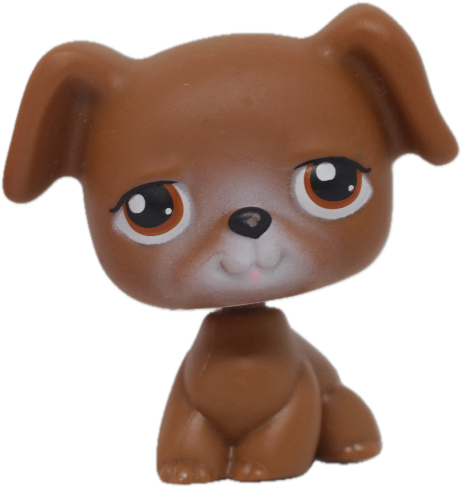 #0173 Boxer