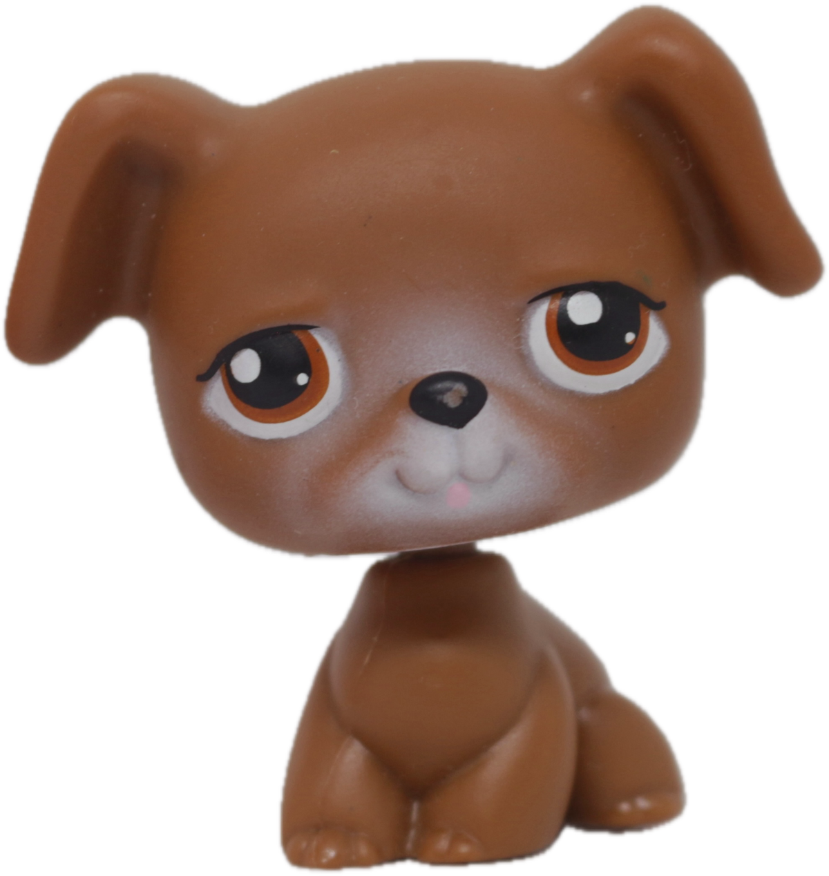 #0173 Boxer