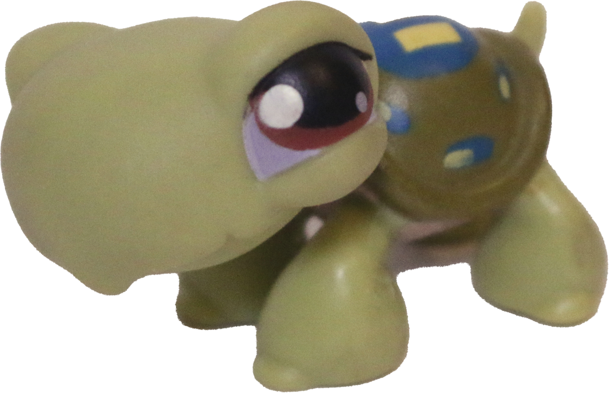#0181 Turtle