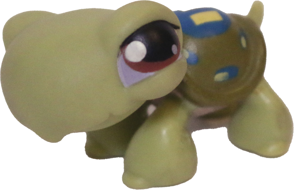 #0181 Turtle
