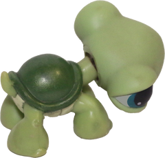 #0187 Turtle