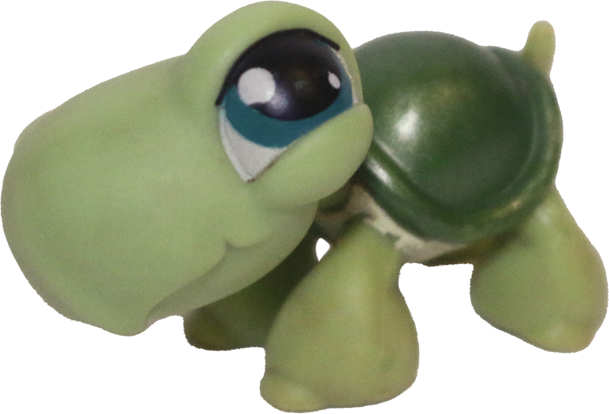 #0187 Turtle