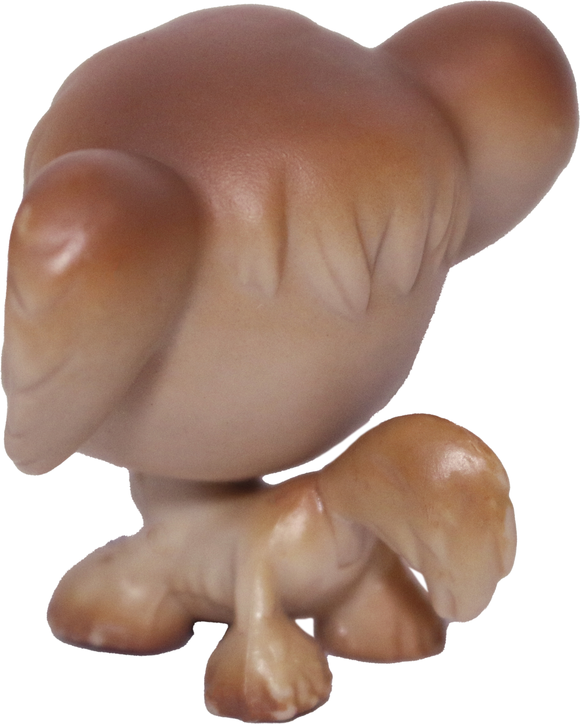 #0200 Spaniel