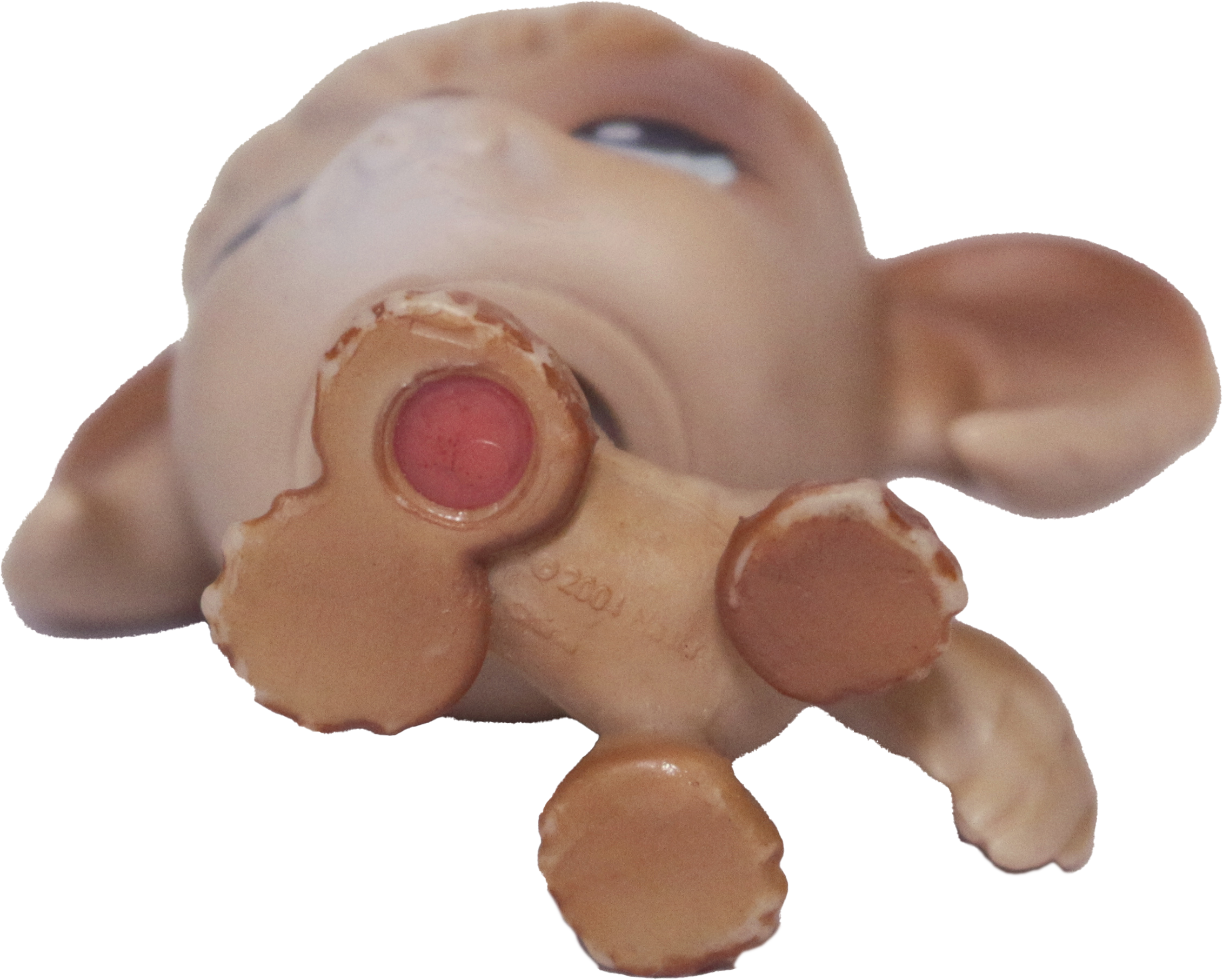 #0200 Spaniel