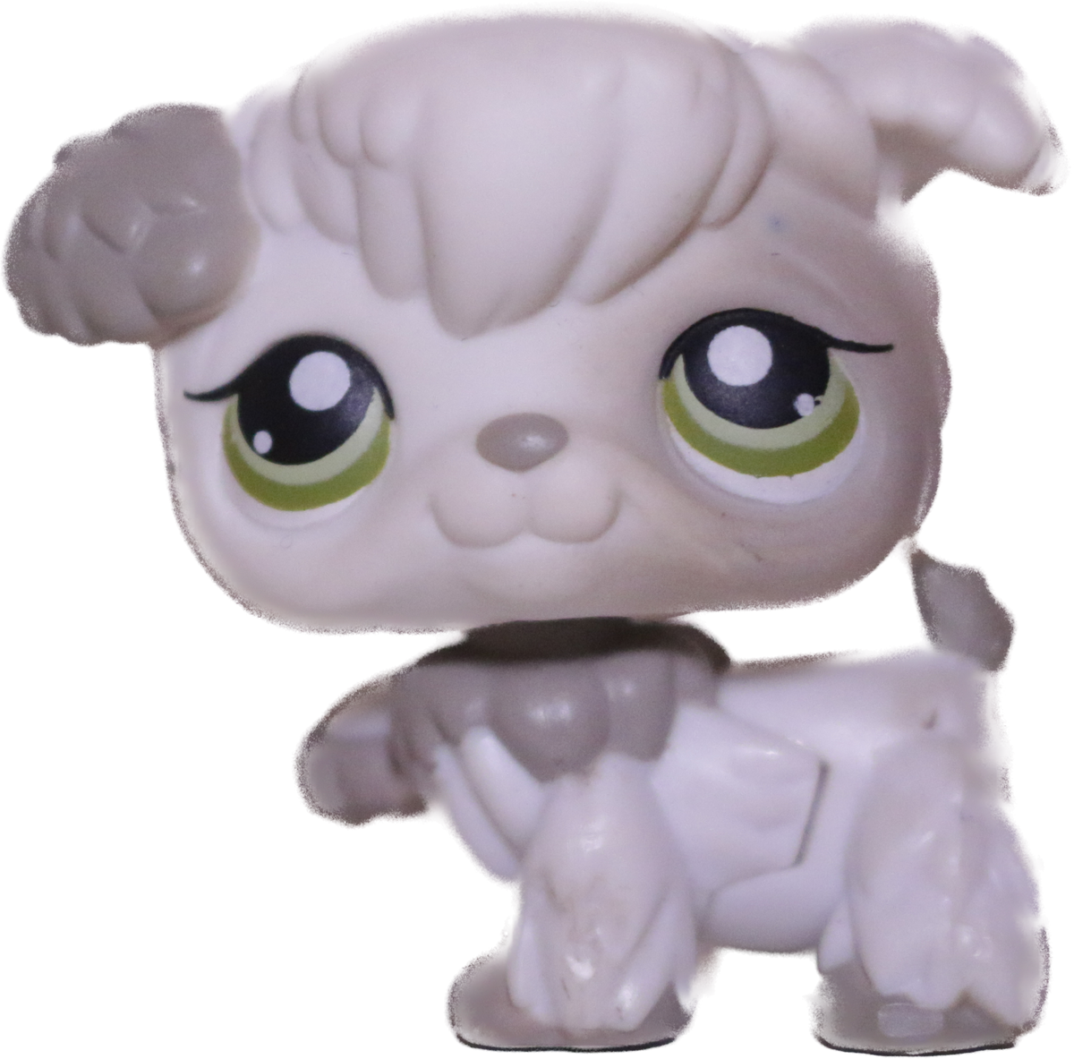 #0203 Poodle Puppy