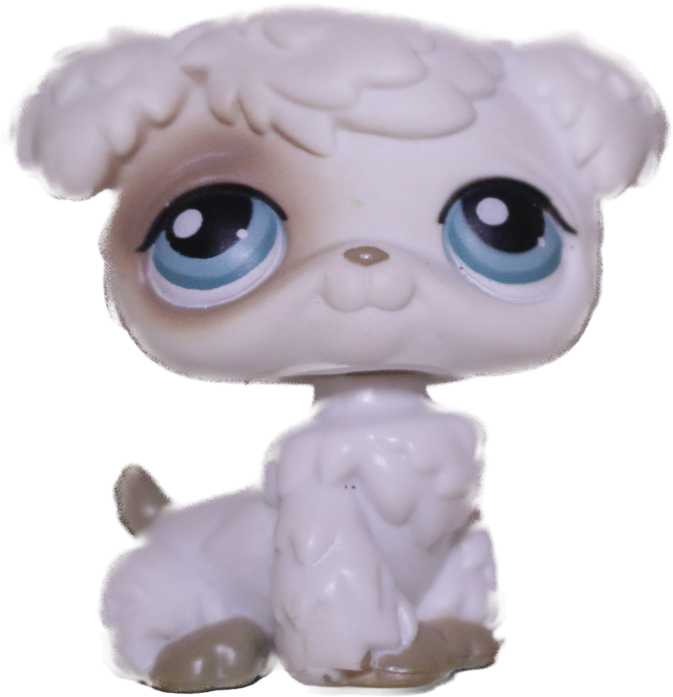 #0204 Poodle Puppy