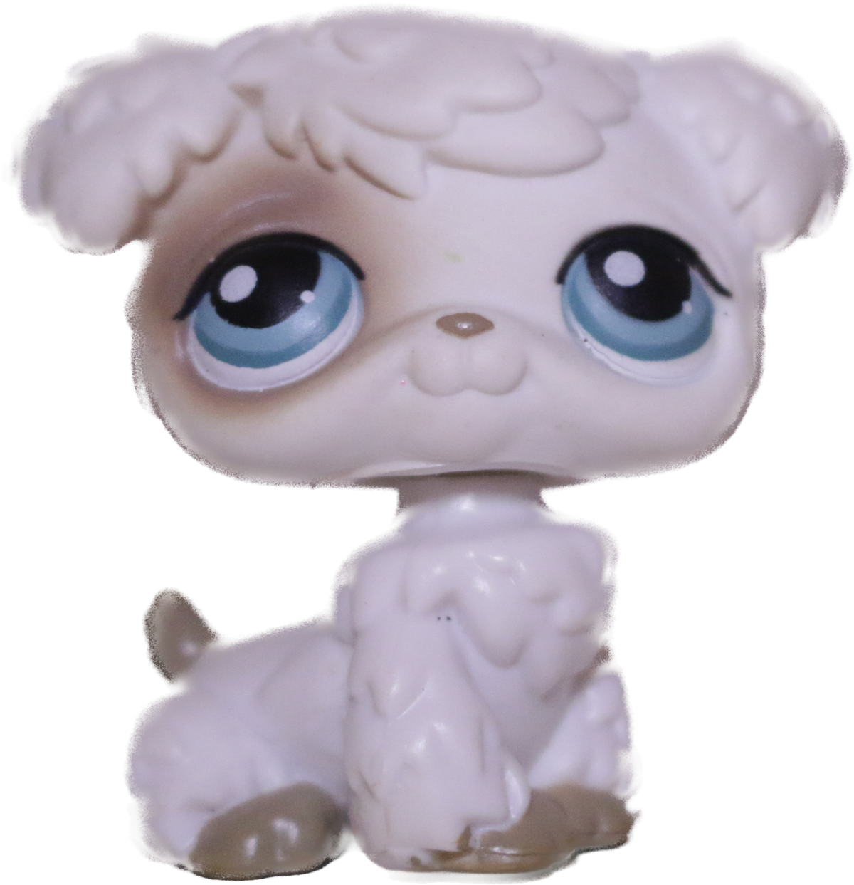 #0204 Poodle Puppy