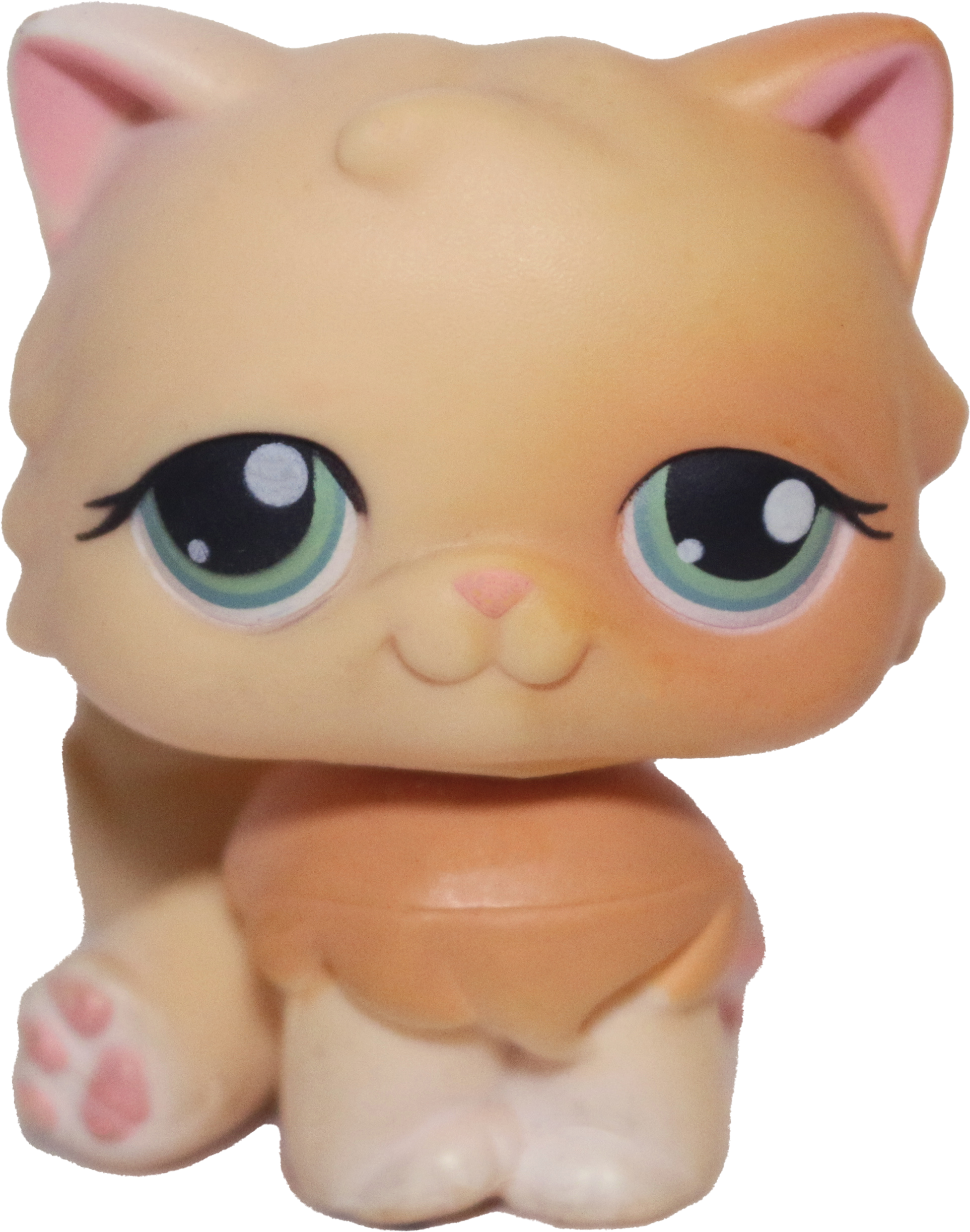 #0217 Persian Cat