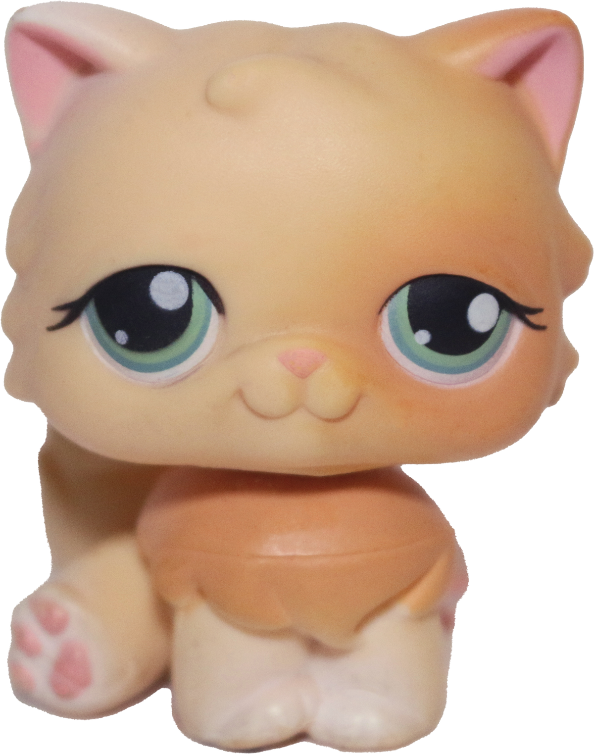 #0217 Persian Cat