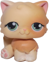 #0217 Persian Cat
