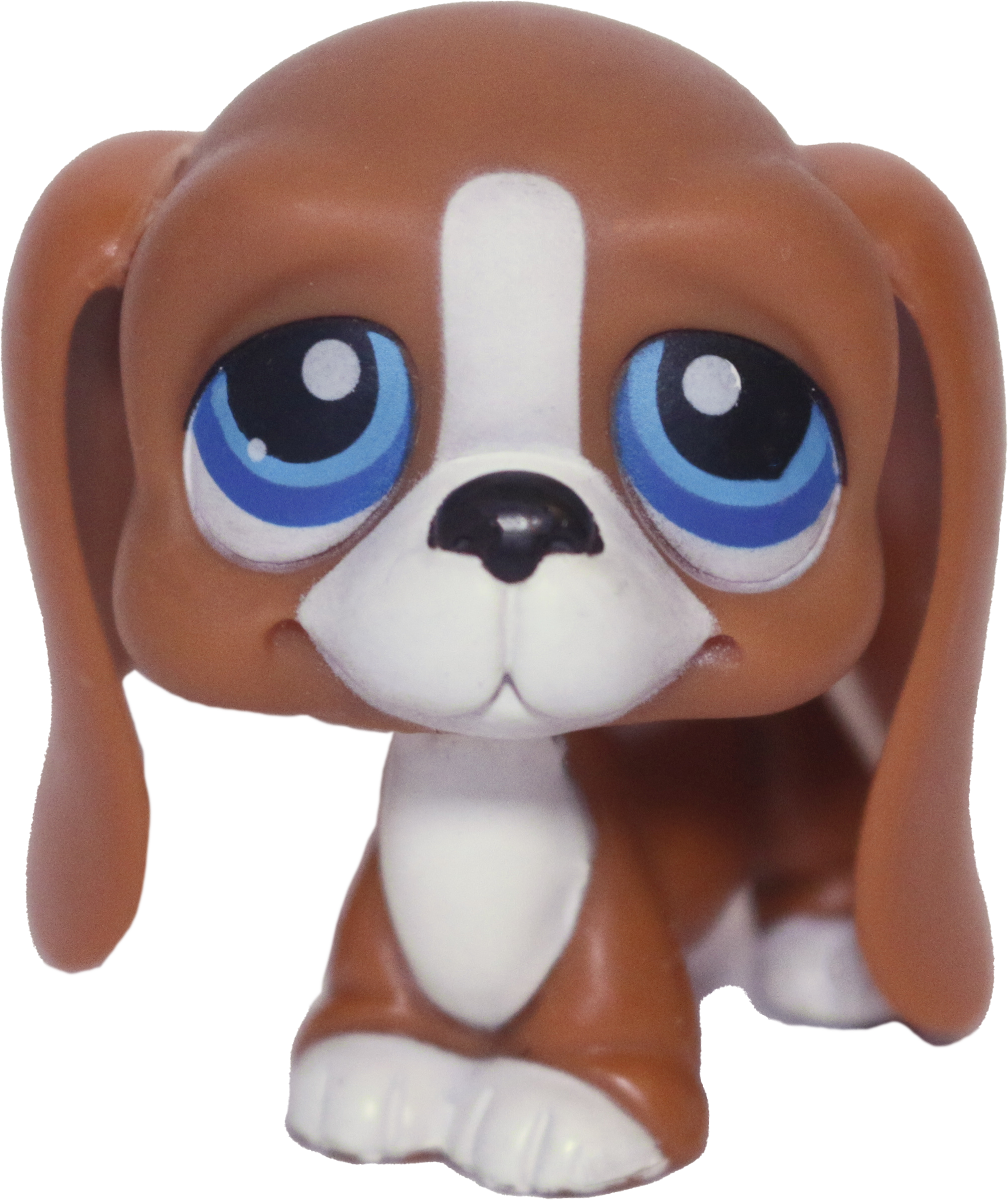 #0222 Basset Hound