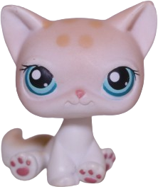 #0224 Sitting Cat
