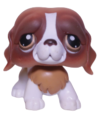#0229 Saint Bernard