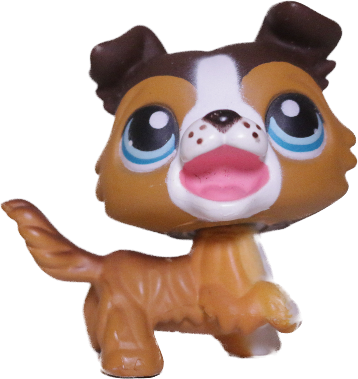 #0237 Collie