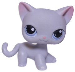 #0246 Shorthair Cat